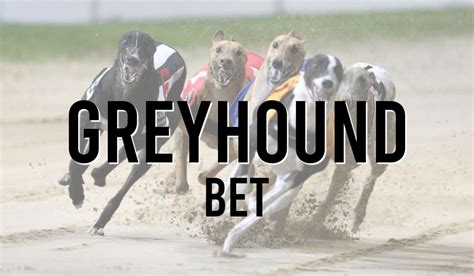 greyhoundbet,greyhound betting